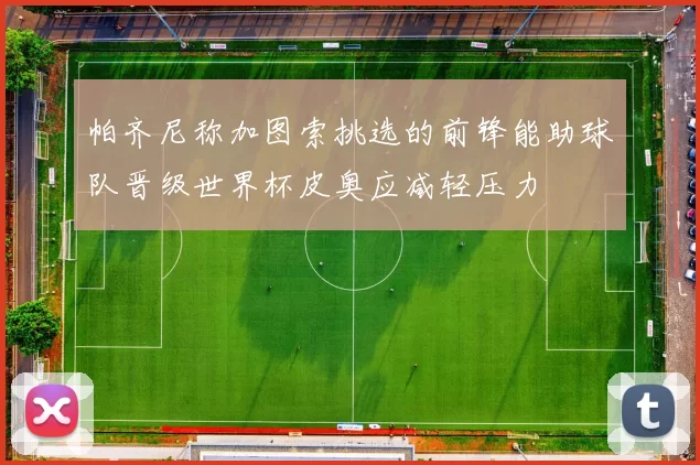 帕齐尼称加图索挑选的前锋能助球队晋级世界杯皮奥应减轻压力