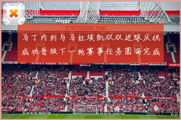 马丁内利与马杜埃凯双双进球庆祝成功晋级下一轮赛事任务圆满完成